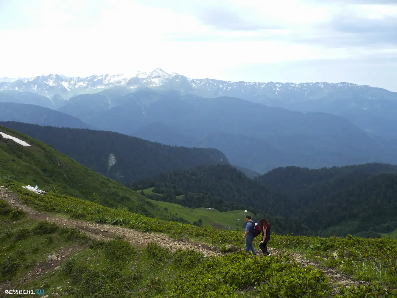 Альпика-сервис