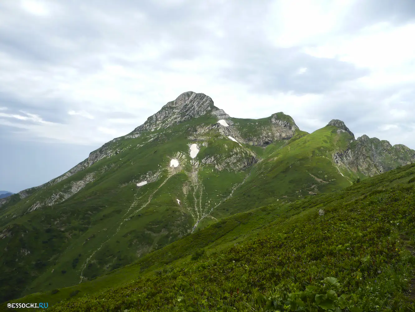 Альпика-сервис