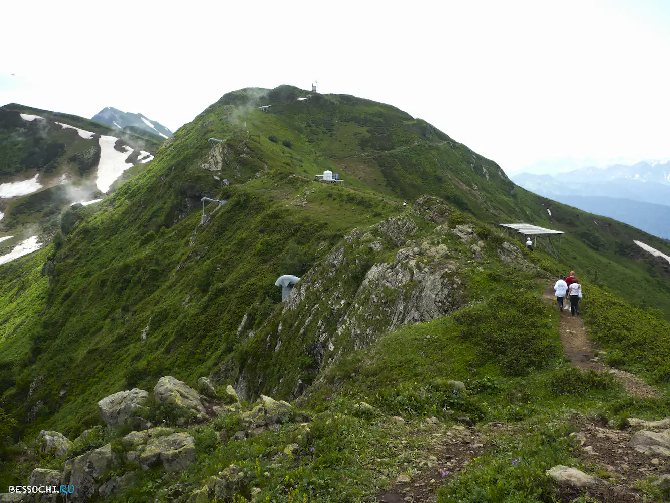 Альпика-сервис