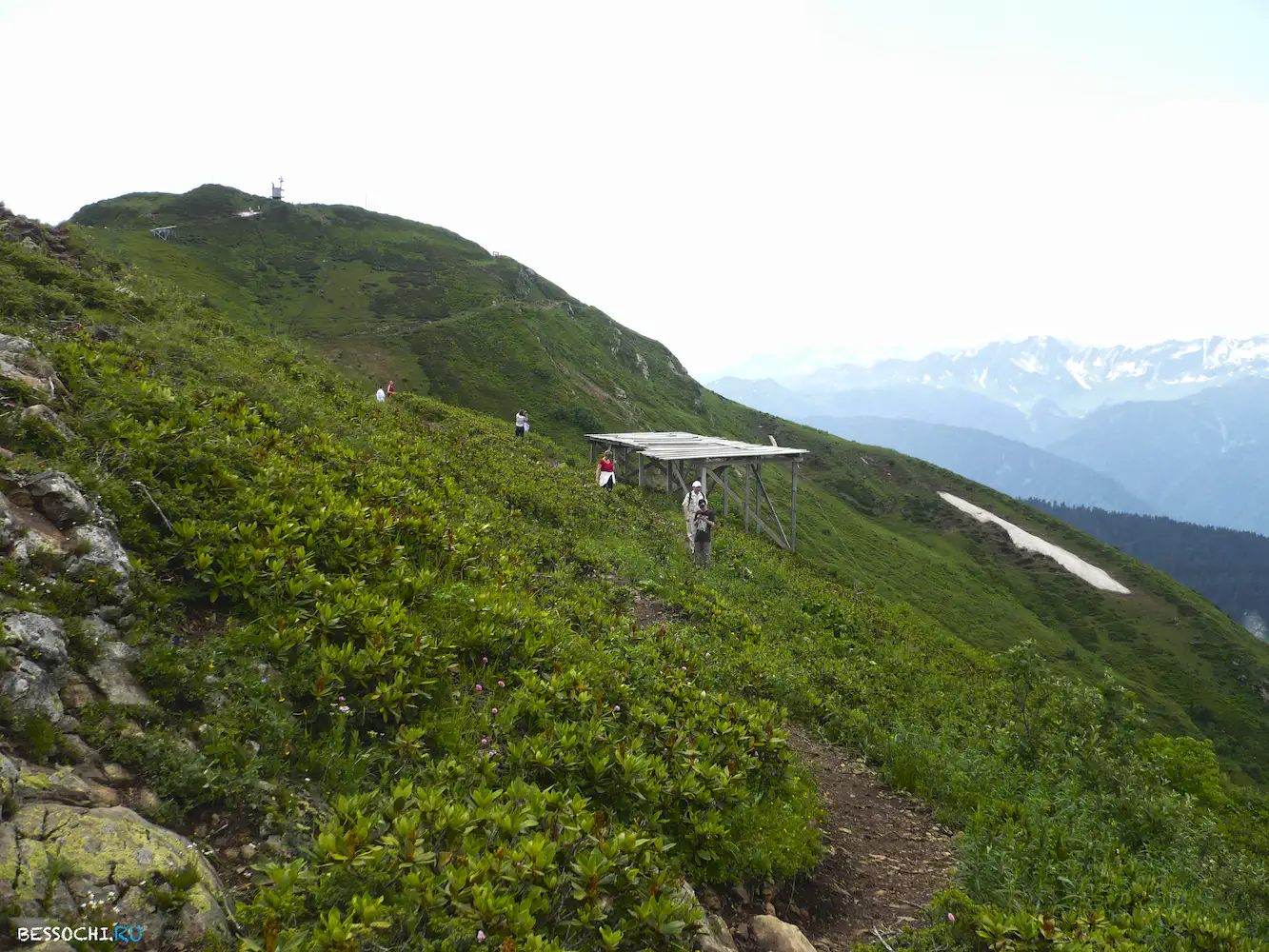 Альпика-сервис