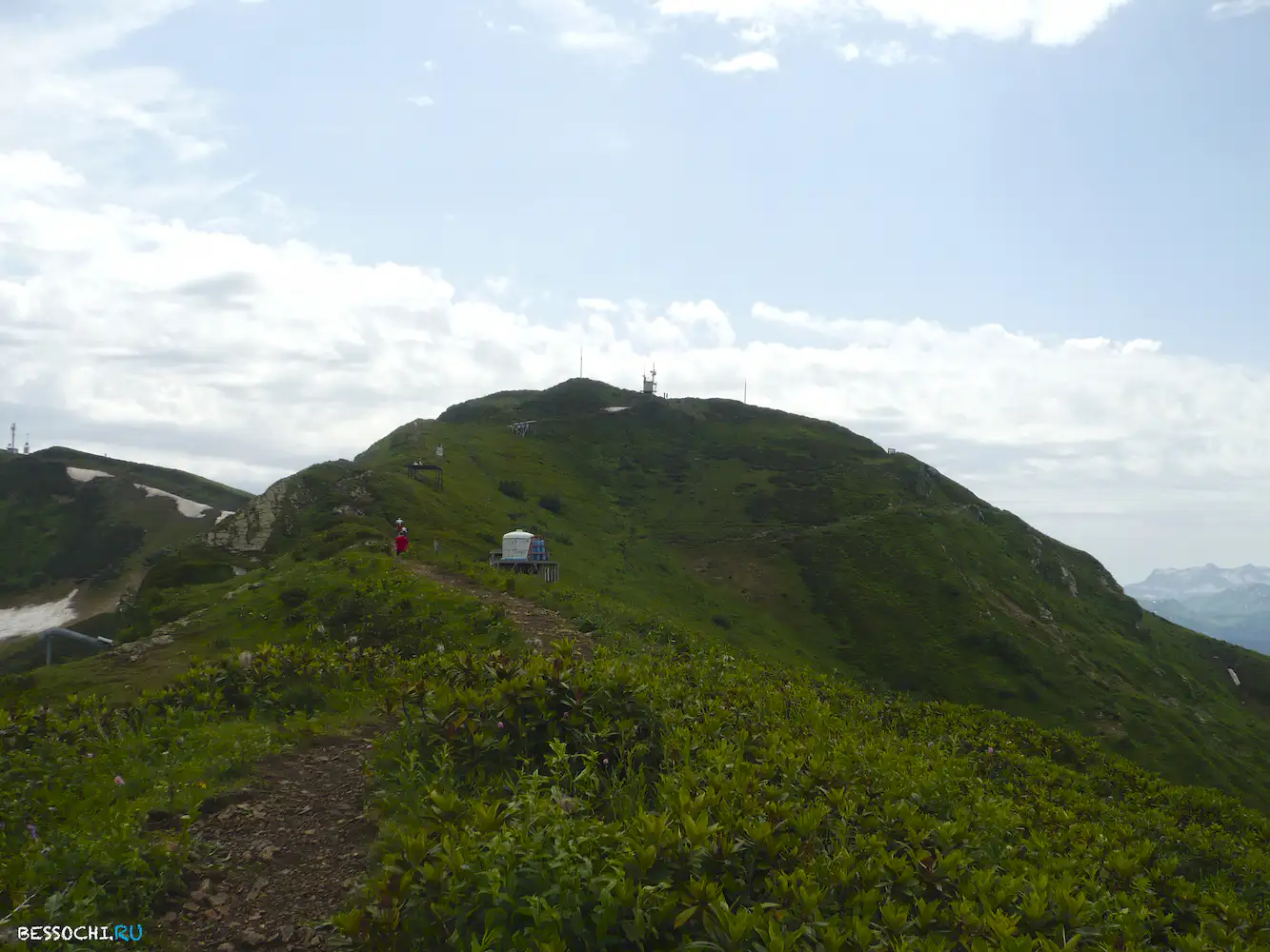 Альпика-сервис