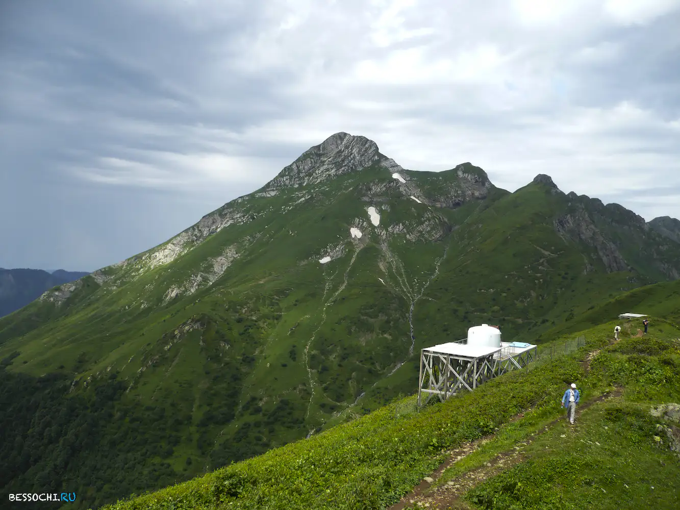 Альпика-сервис