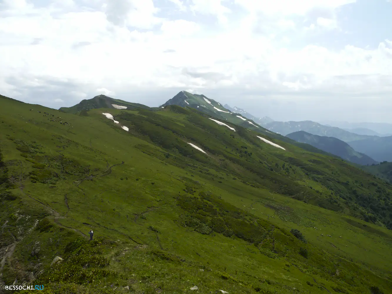 Альпика-сервис