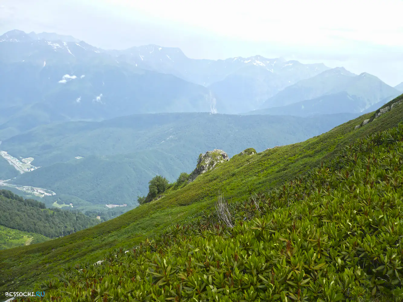 Альпика-сервис