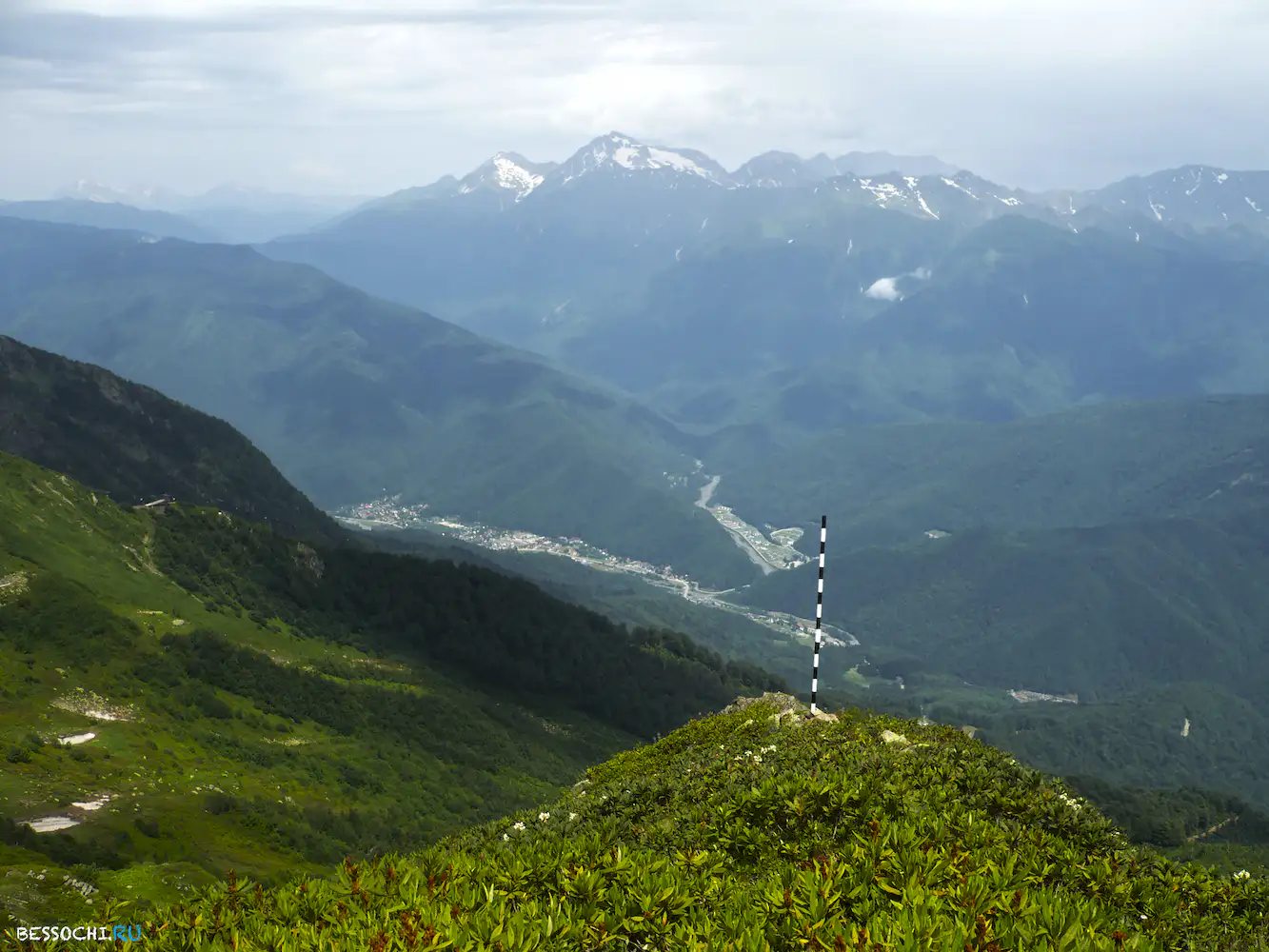 Альпика-сервис