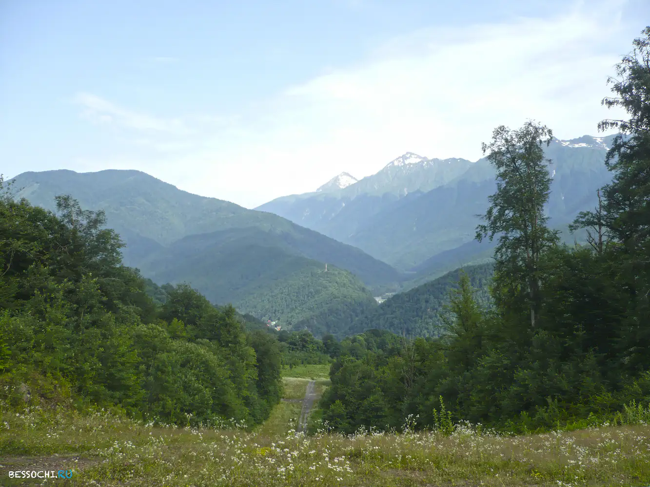 Альпика-сервис