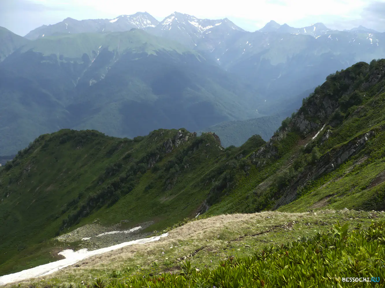 Альпика-сервис