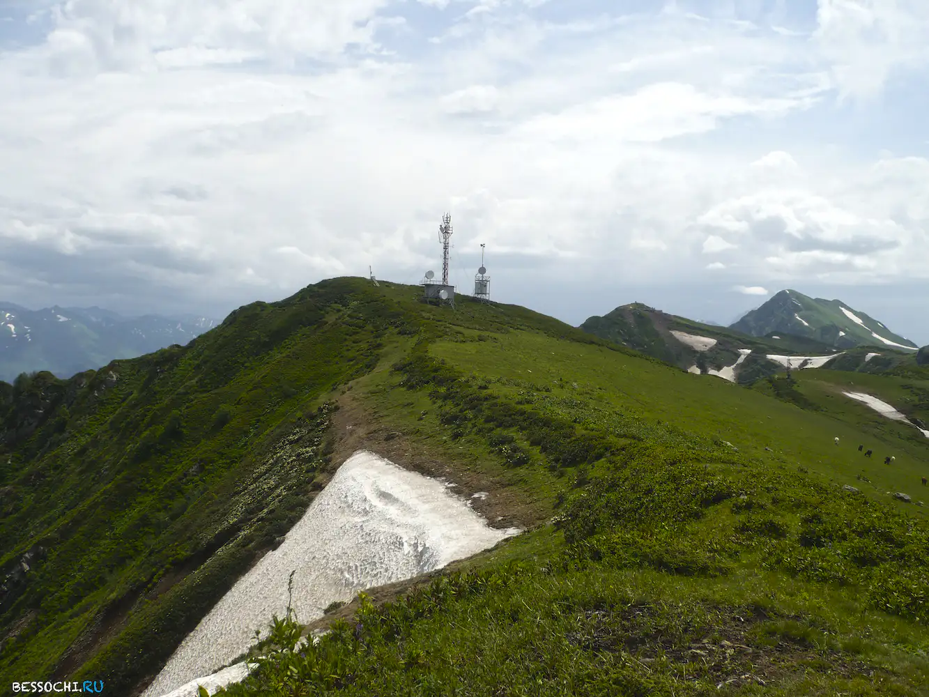 Альпика-сервис