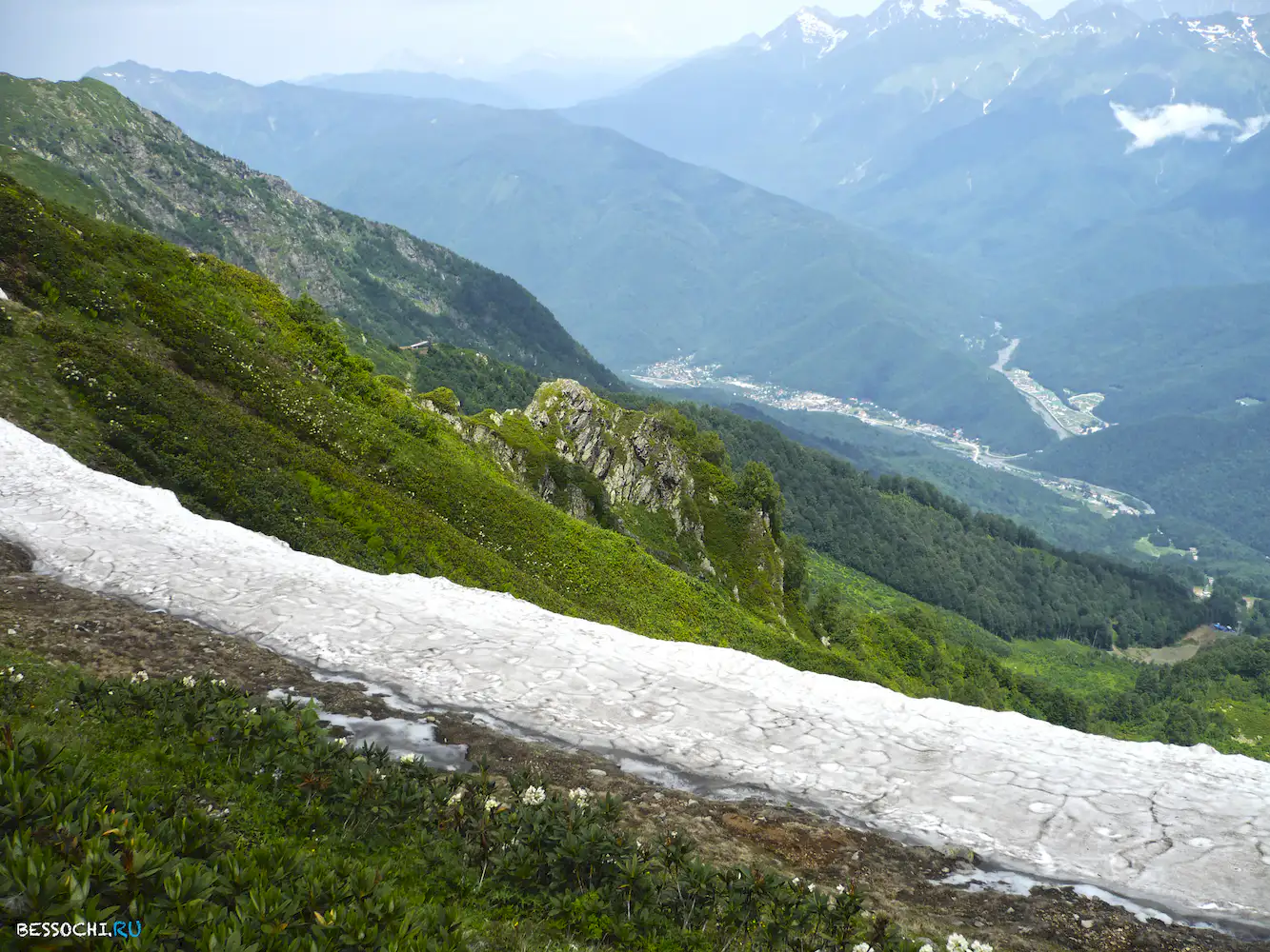 Альпика-сервис