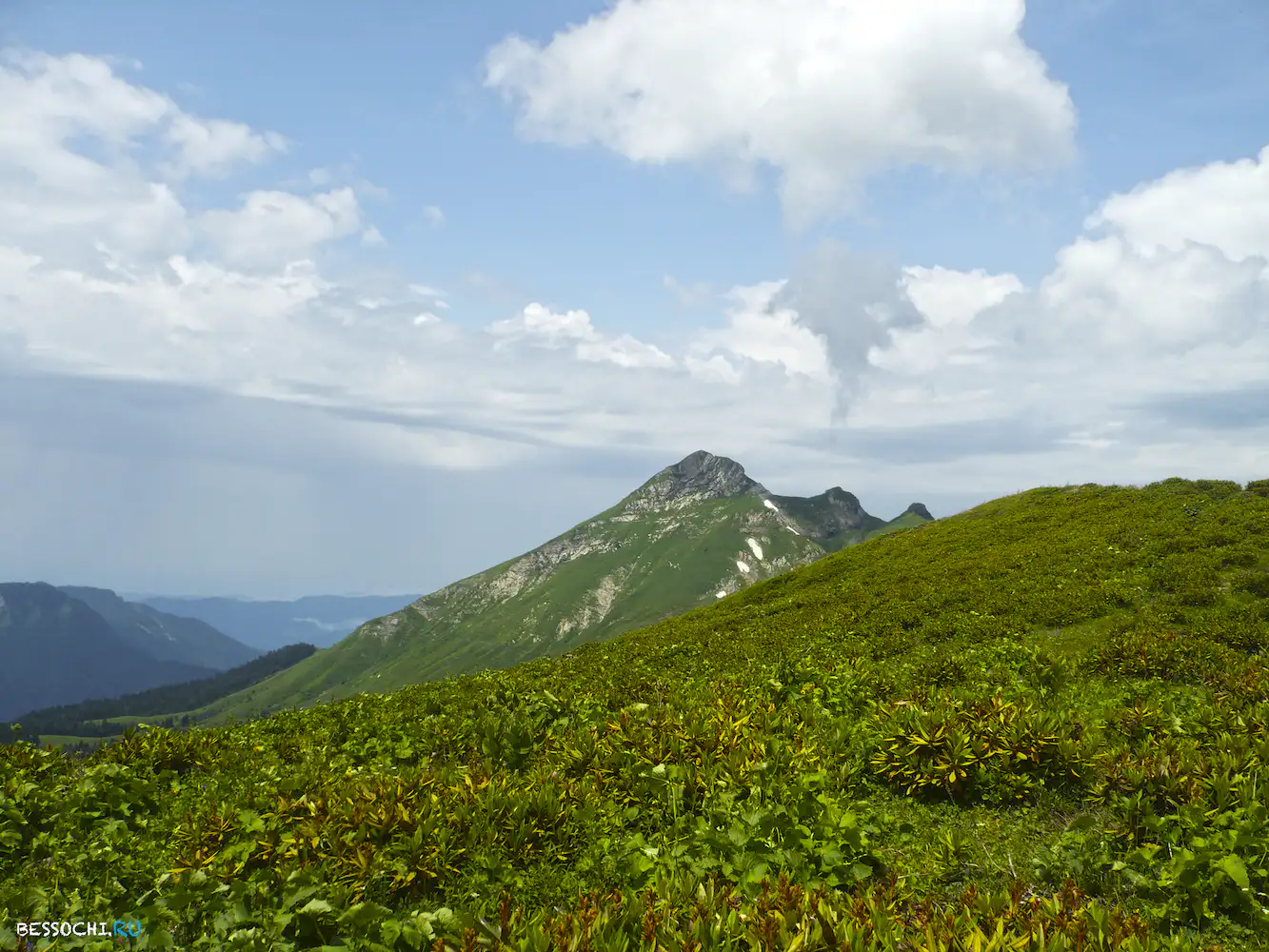 Альпика-сервис