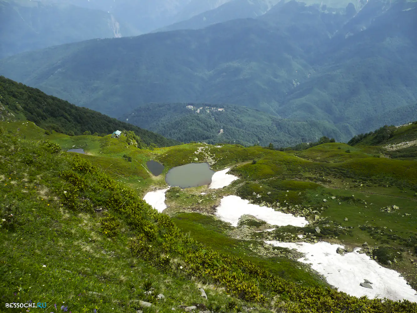 Альпика-сервис