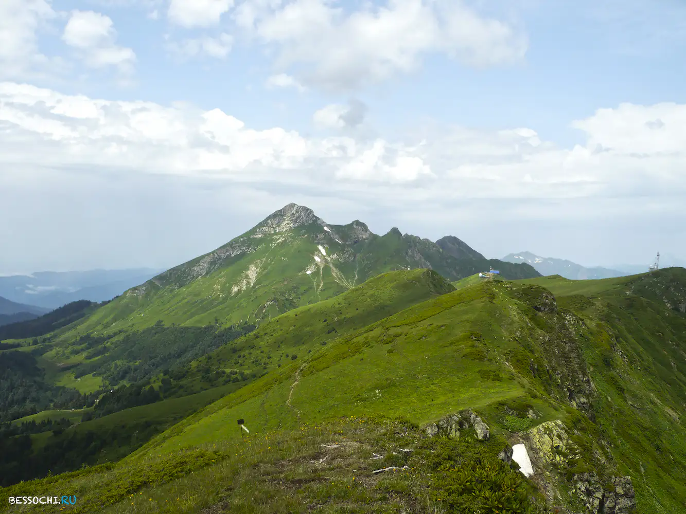 Альпика-сервис