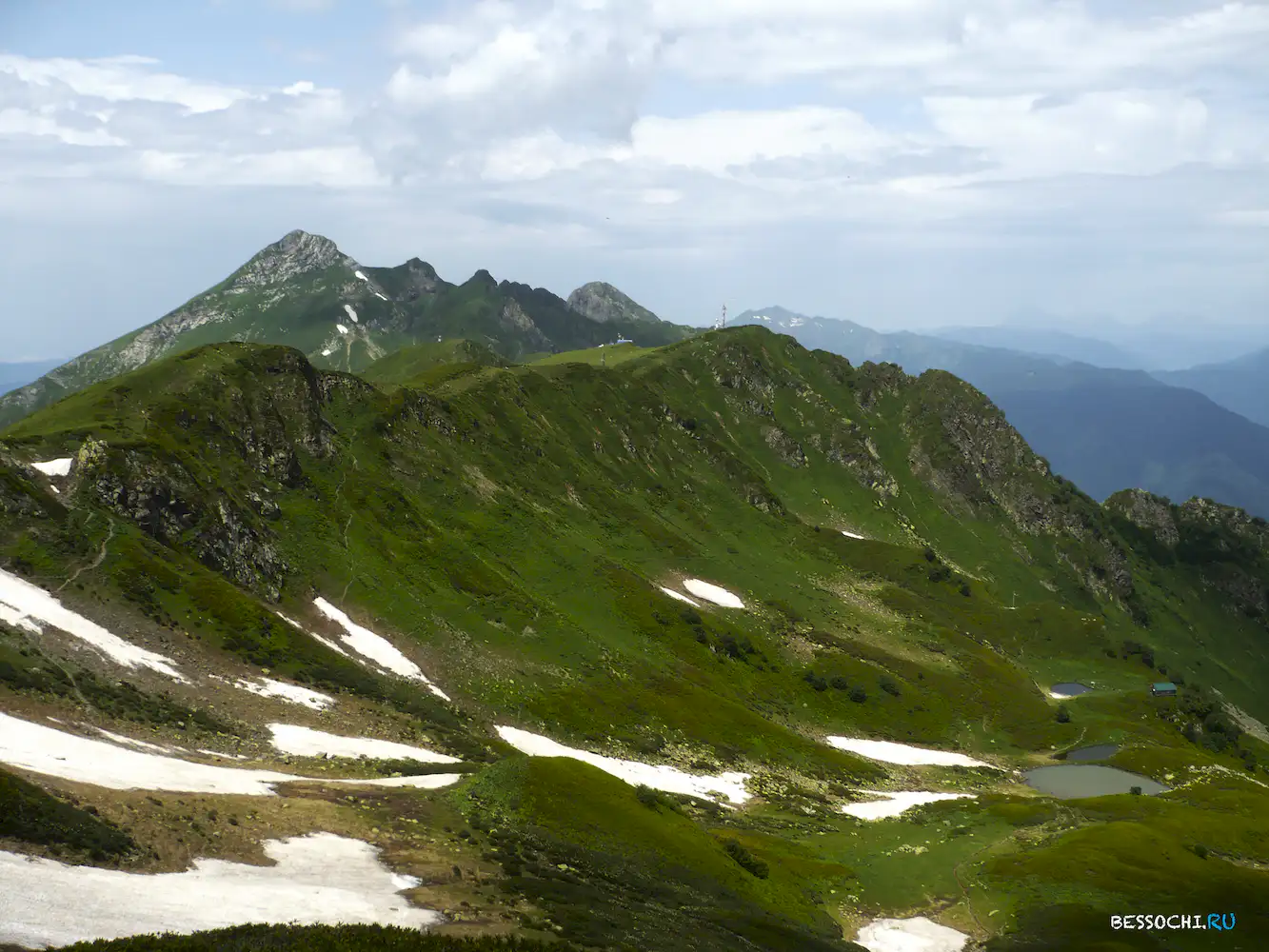 Альпика-сервис