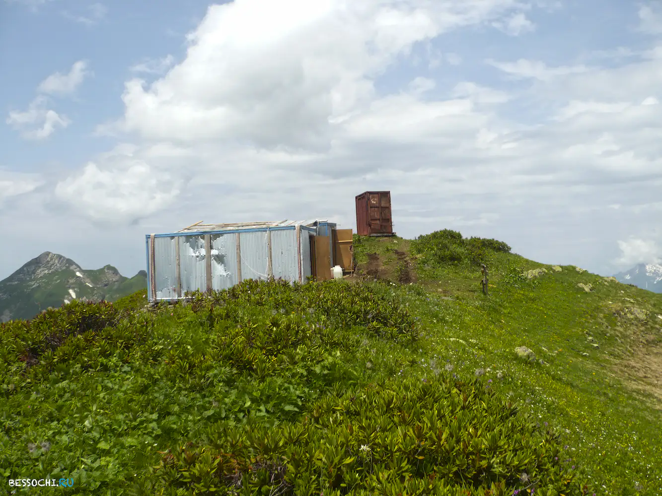 Альпика-сервис