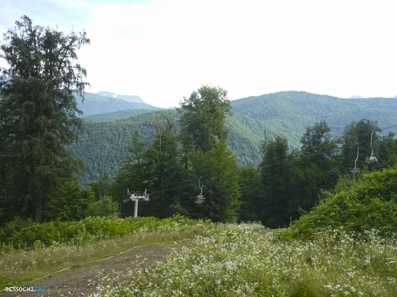 Альпика-сервис