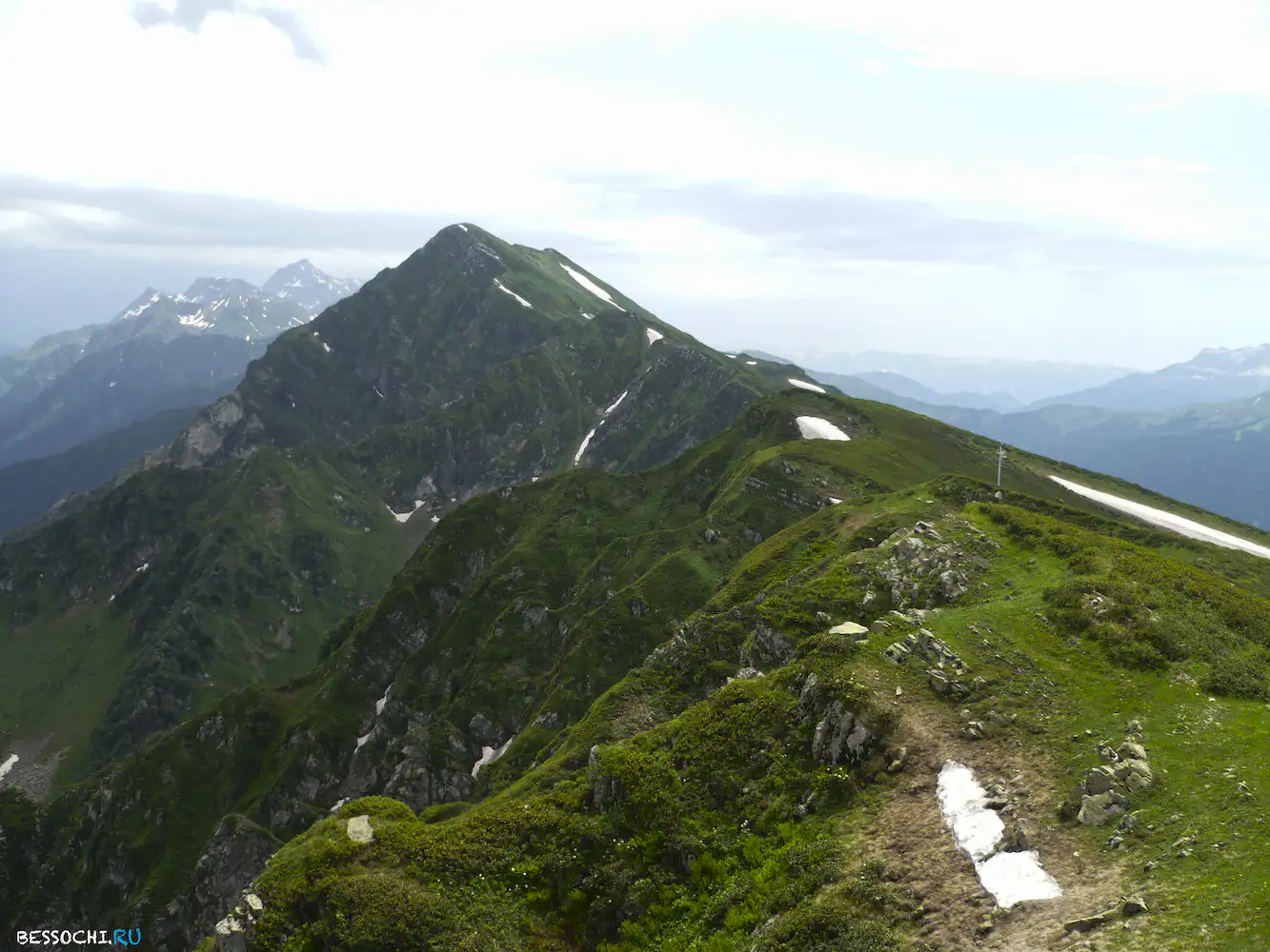 Альпика-сервис