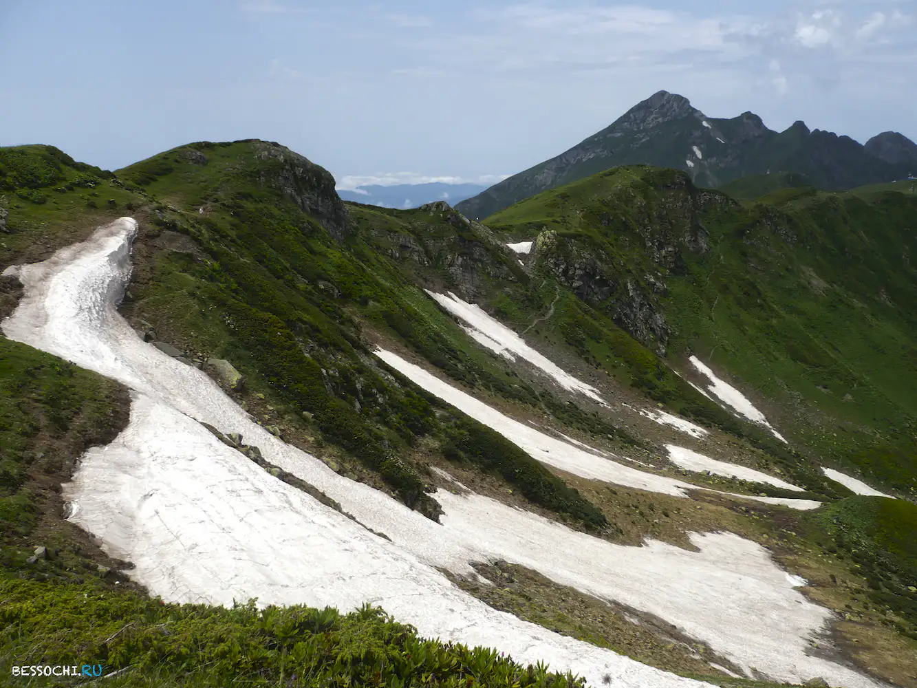 Альпика-сервис