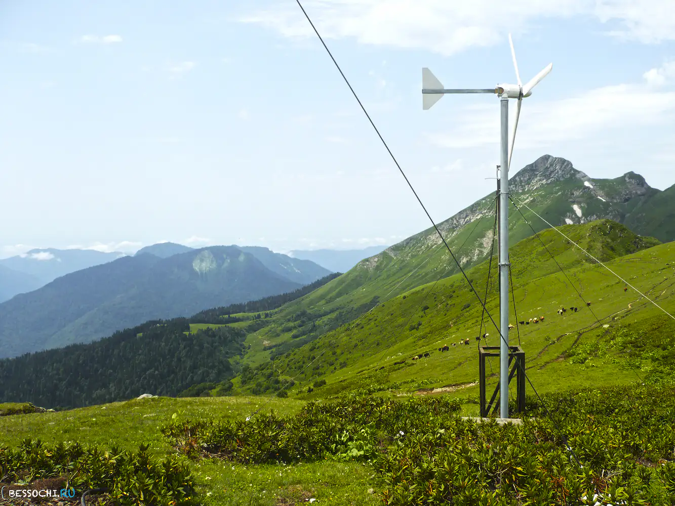 Альпика-сервис