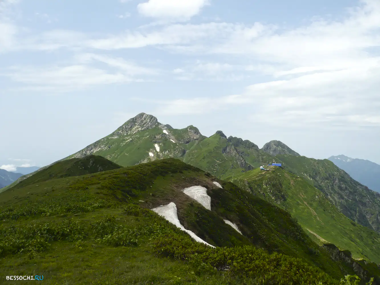 Альпика-сервис