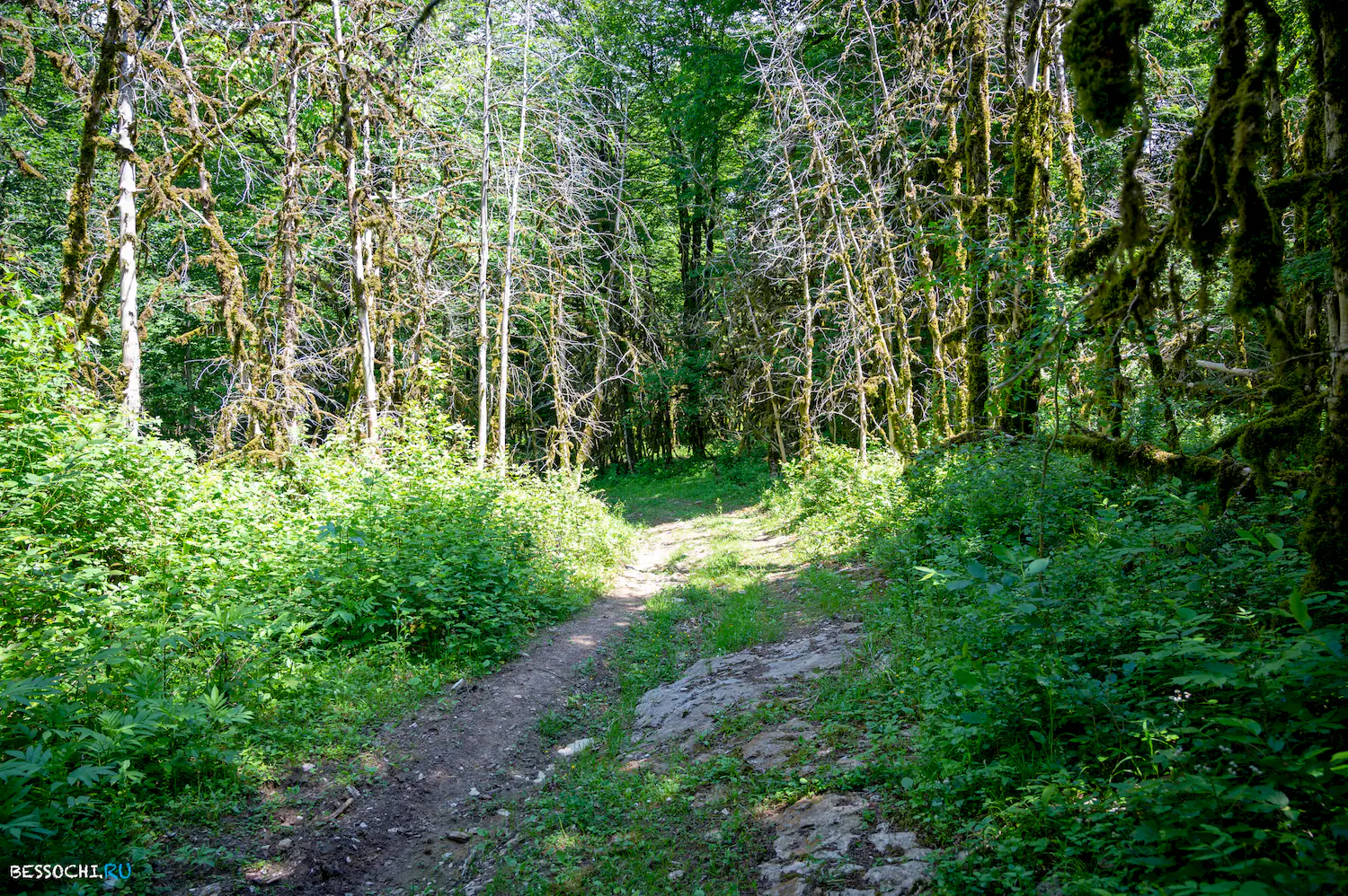 Пещера Первомайская