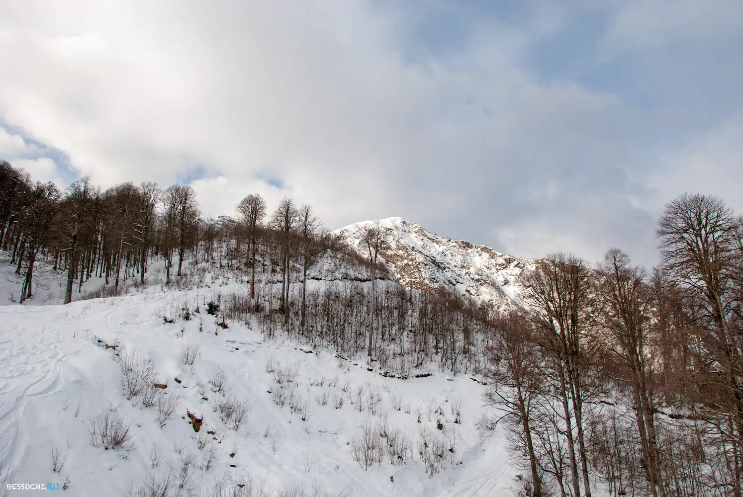 альпика сервис