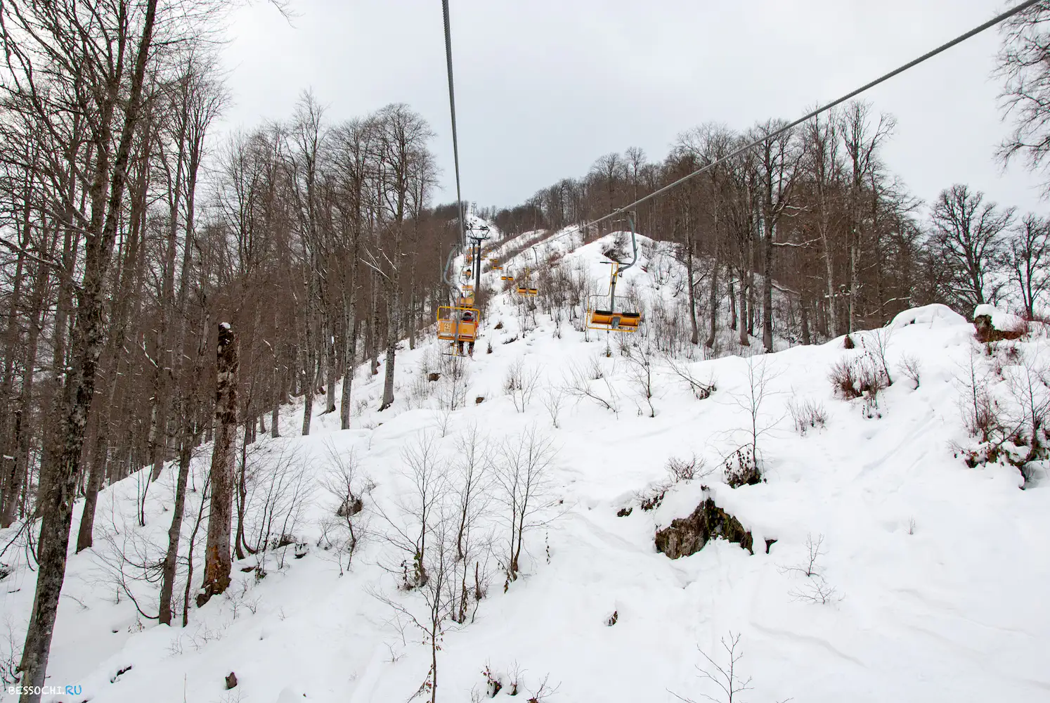 альпика сервис