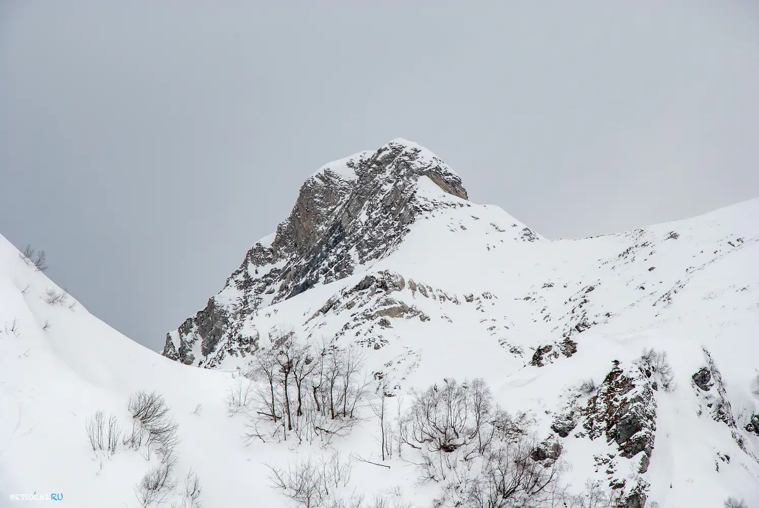 альпика сервис