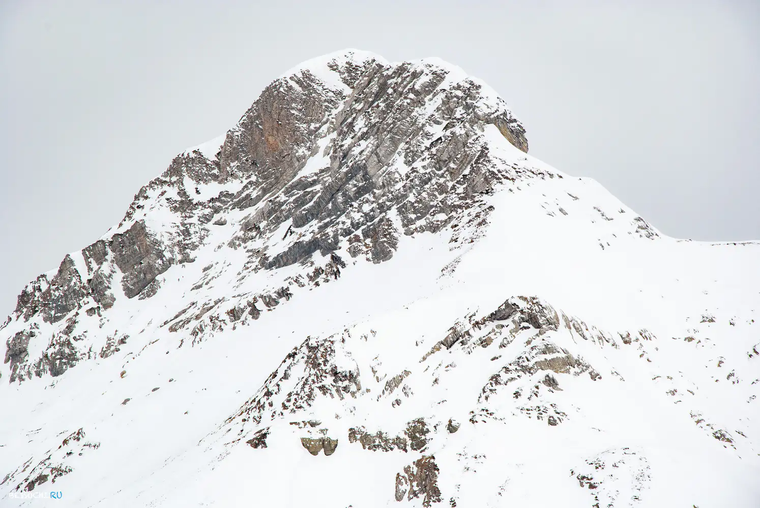 альпика сервис