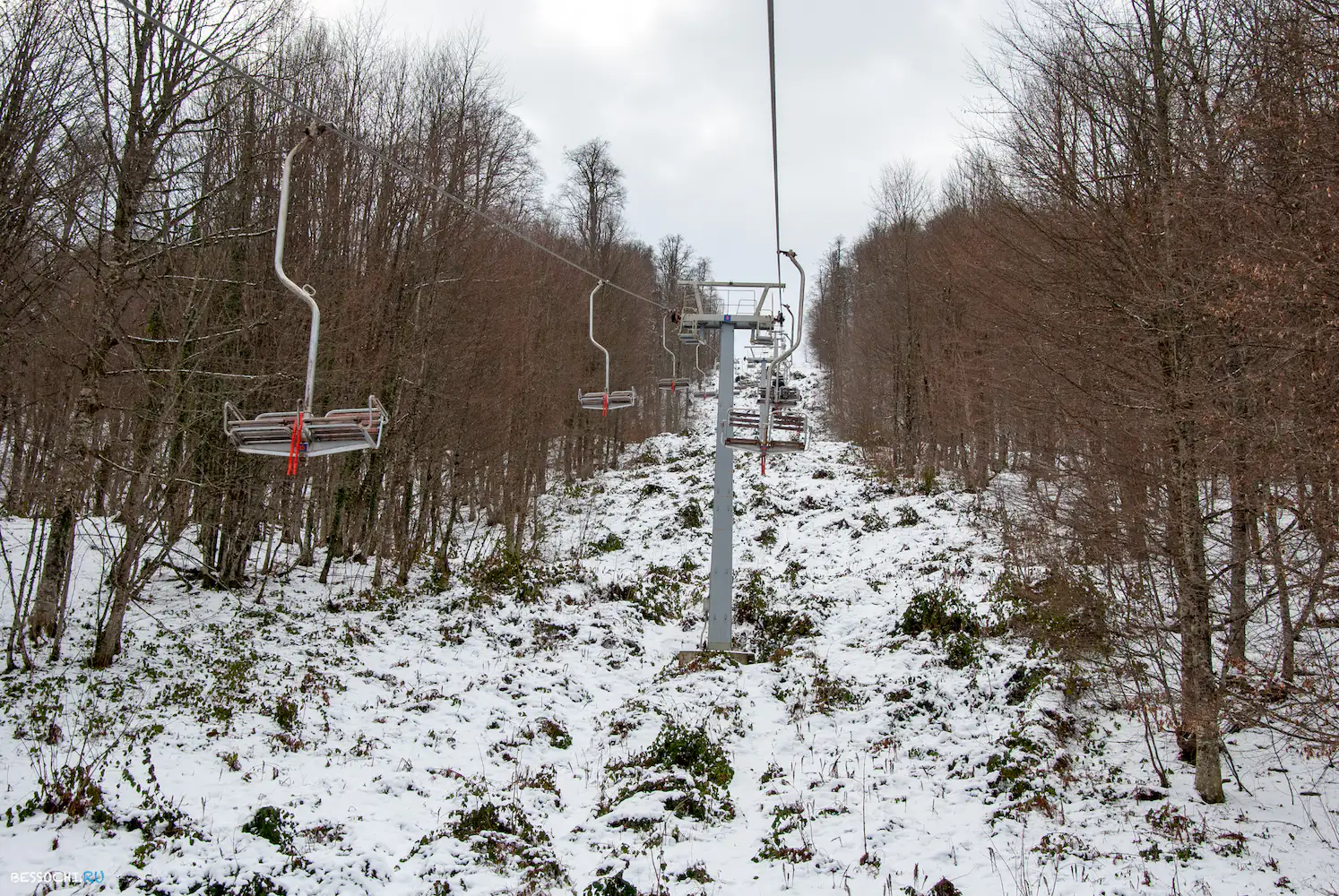 альпика сервис