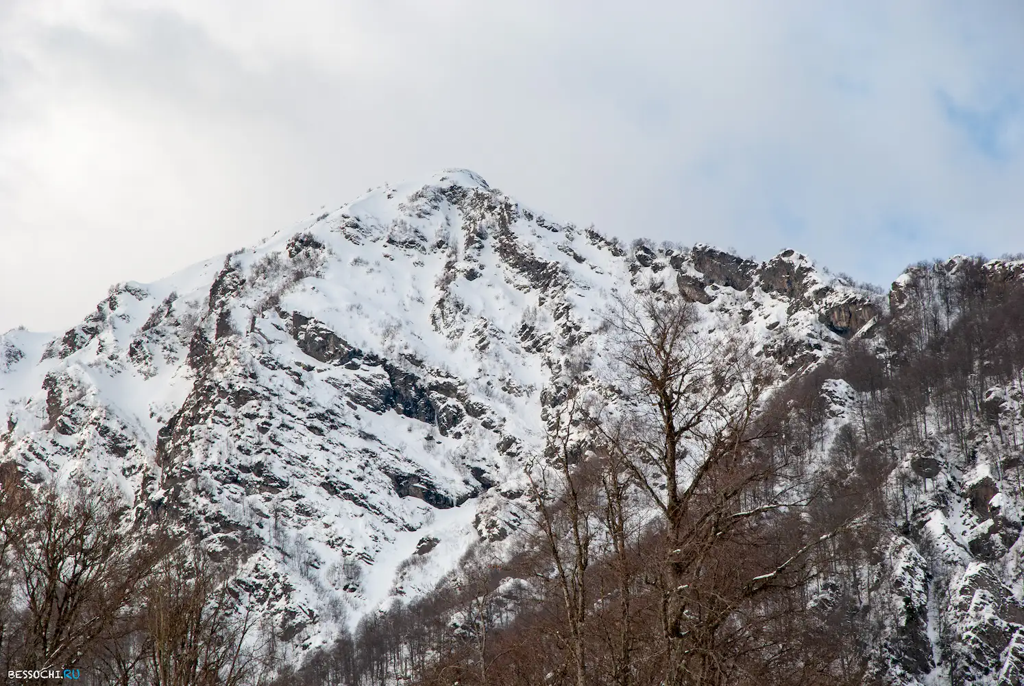 альпика сервис