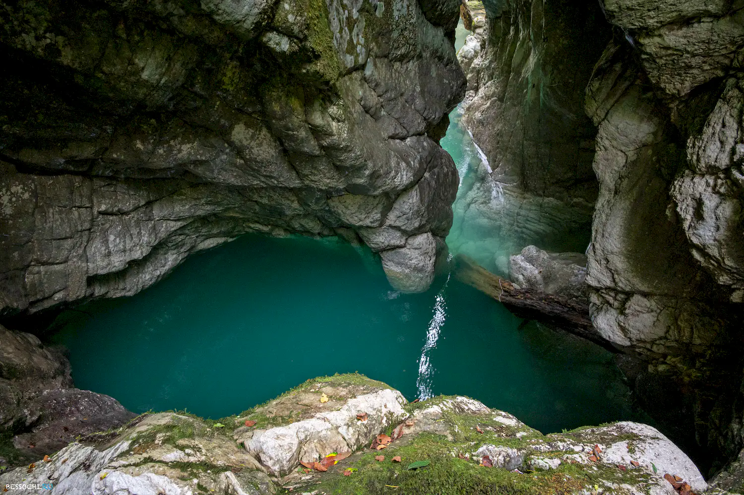 Царские ворота