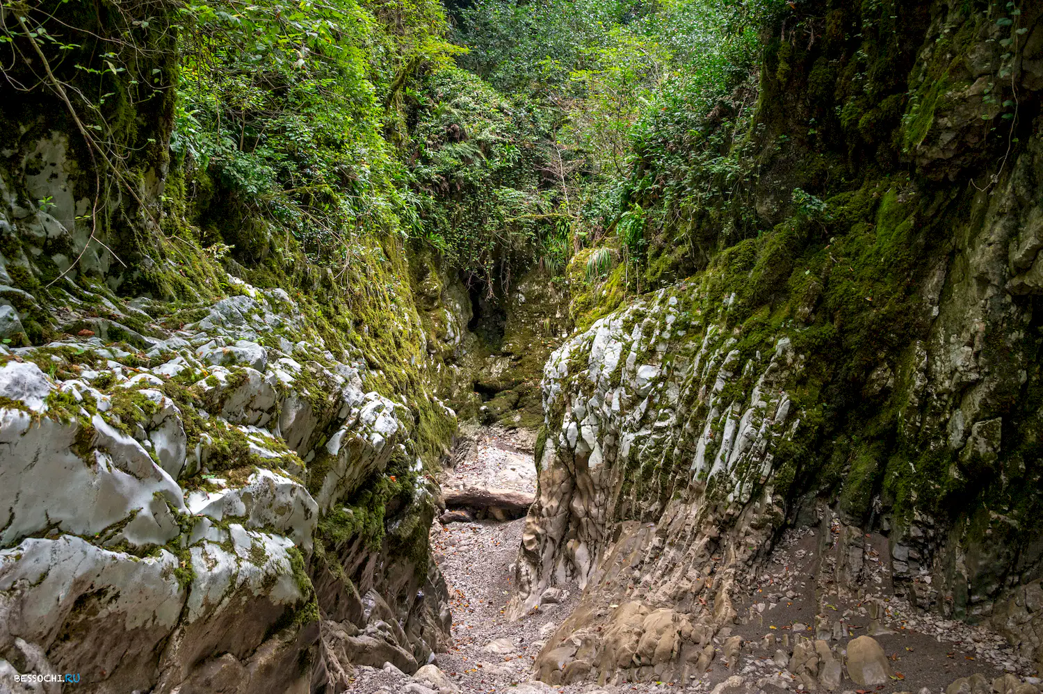 Царские ворота