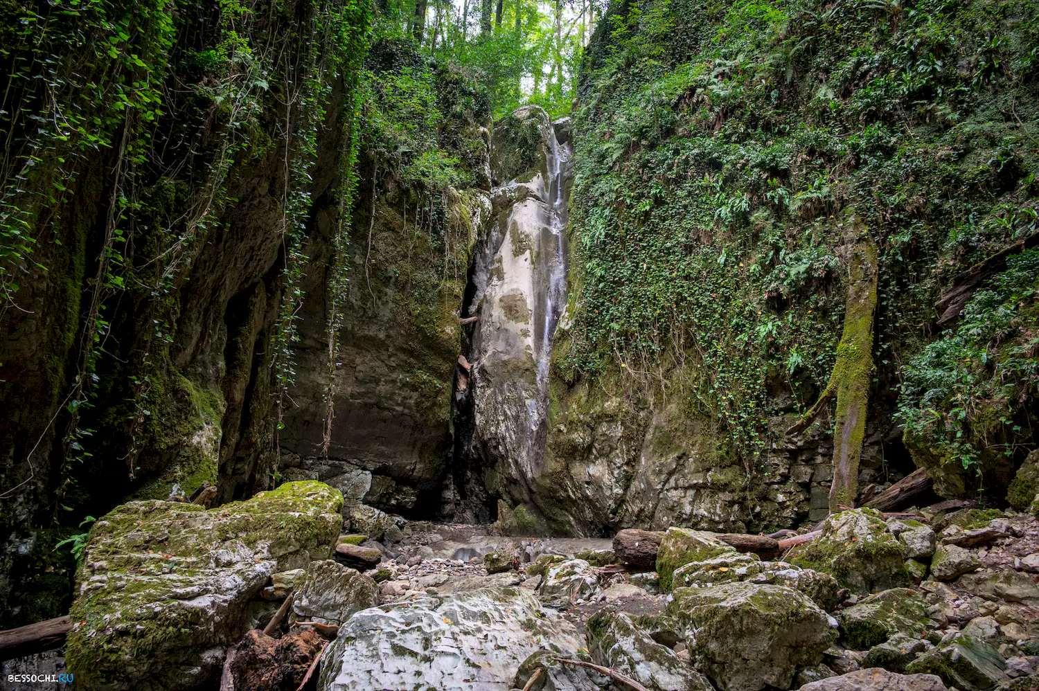 Царские ворота