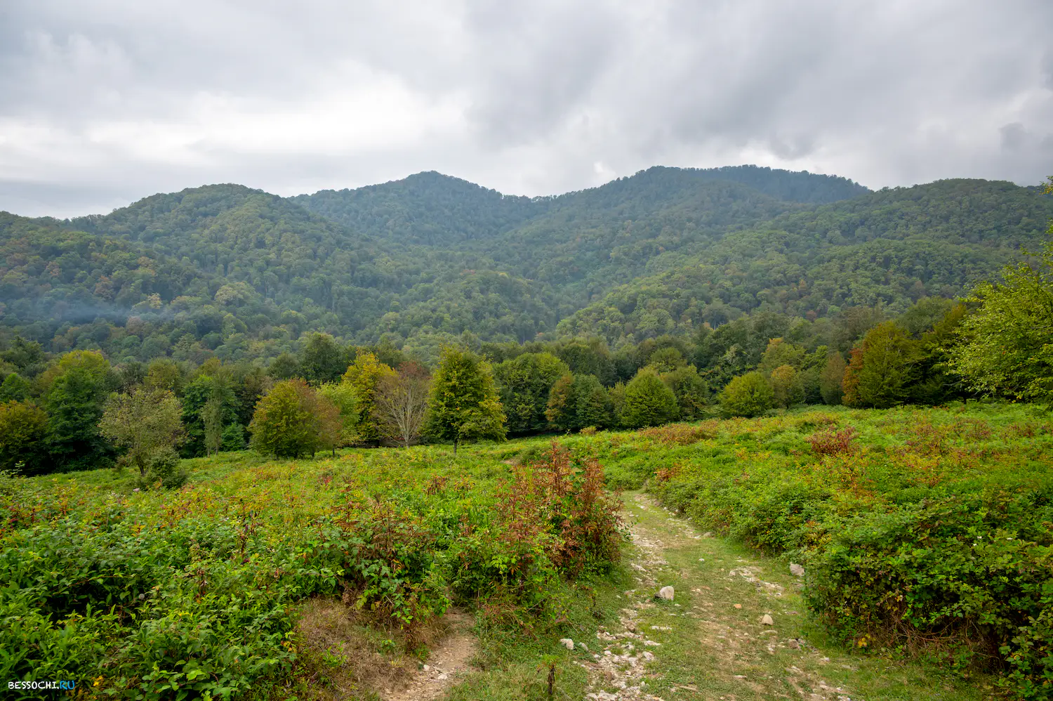 воронцовка