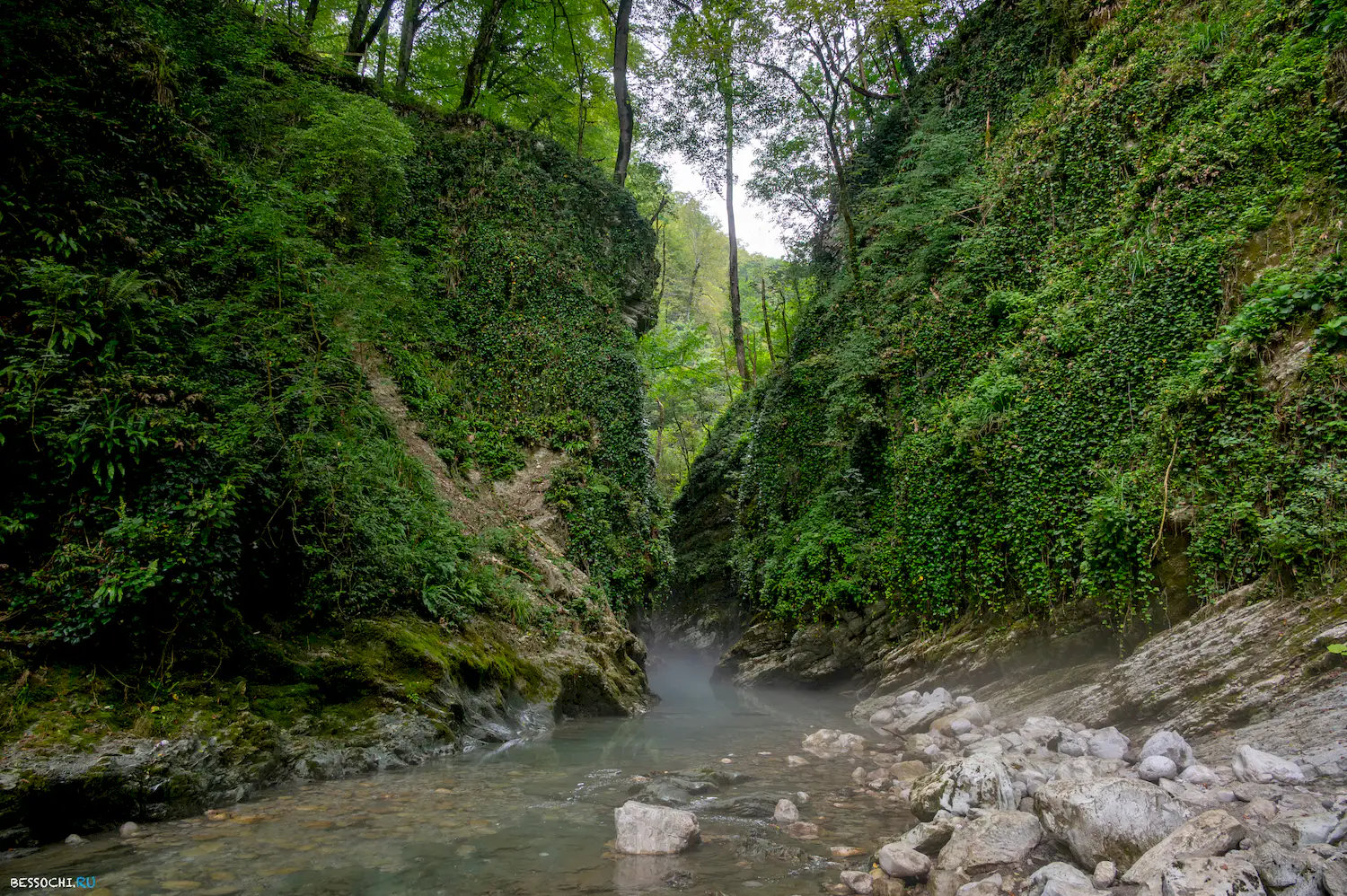 Царские ворота
