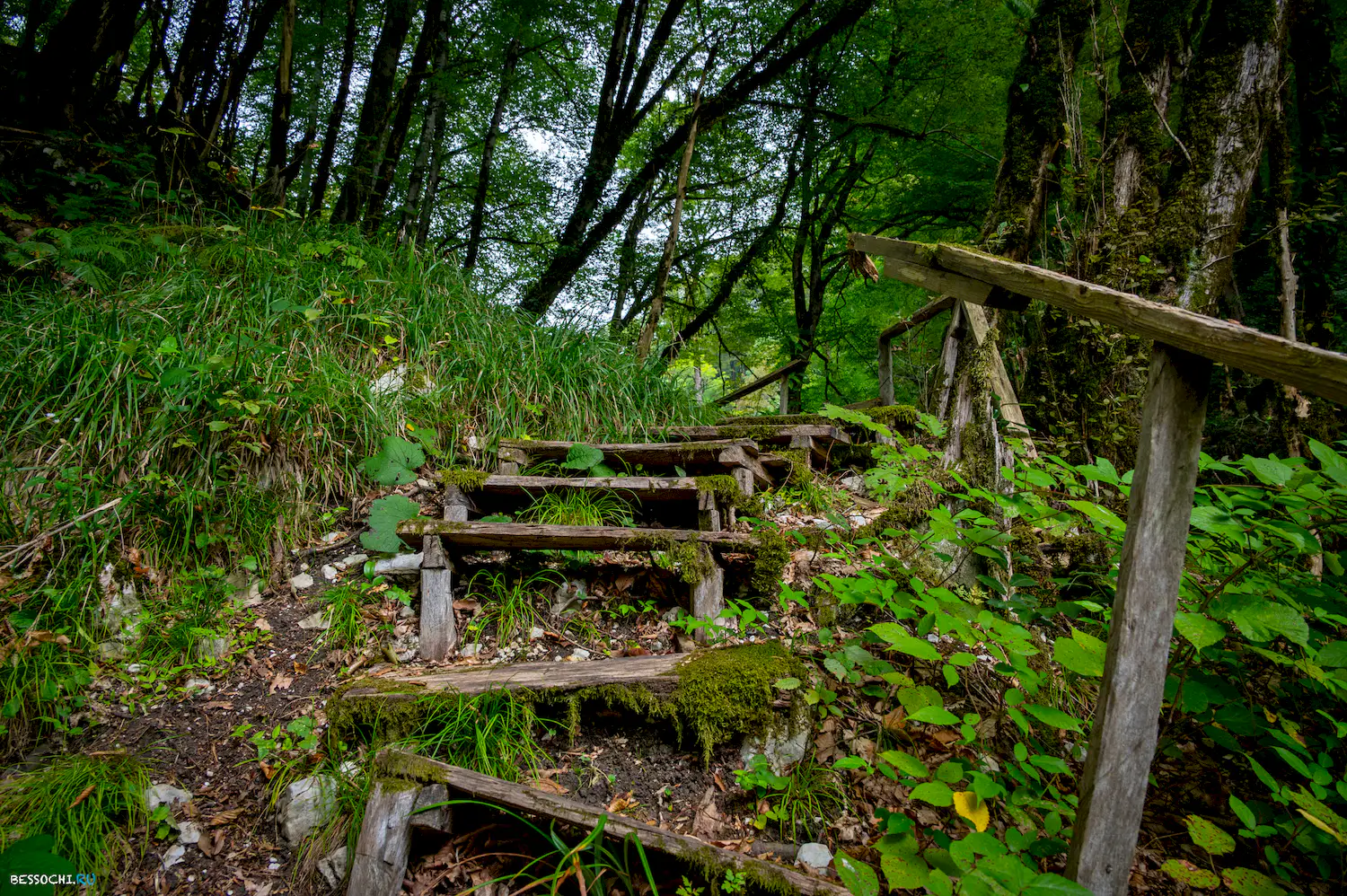 Царские ворота