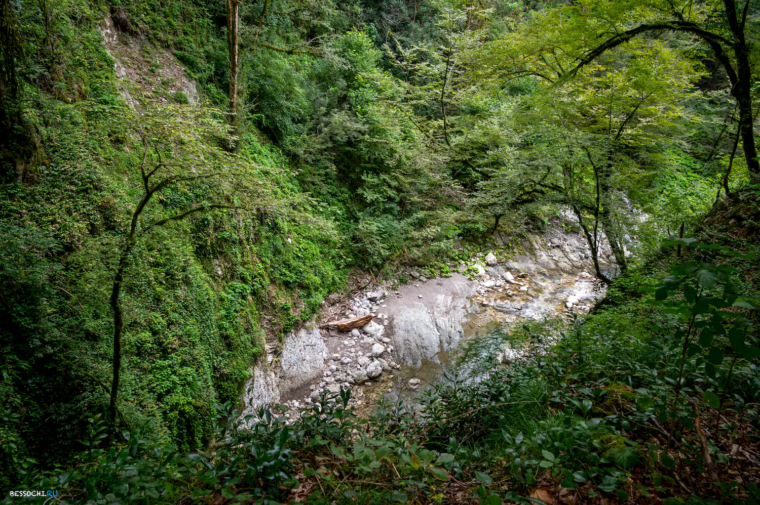 Царские ворота