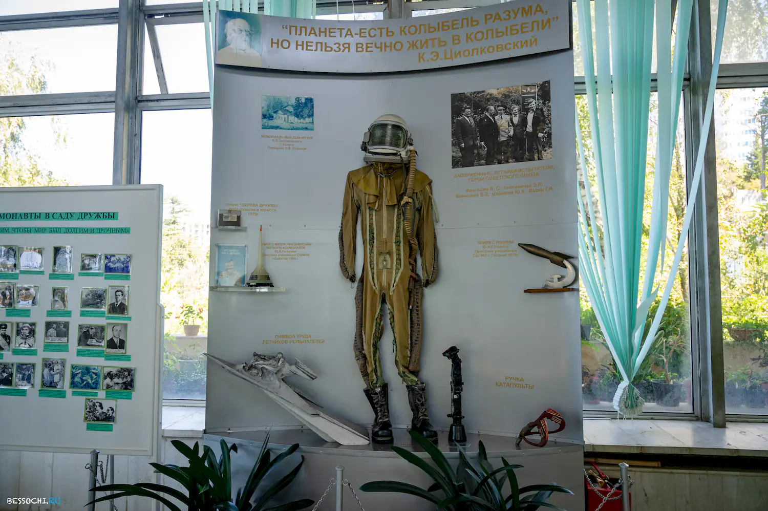 Дерево дружбы