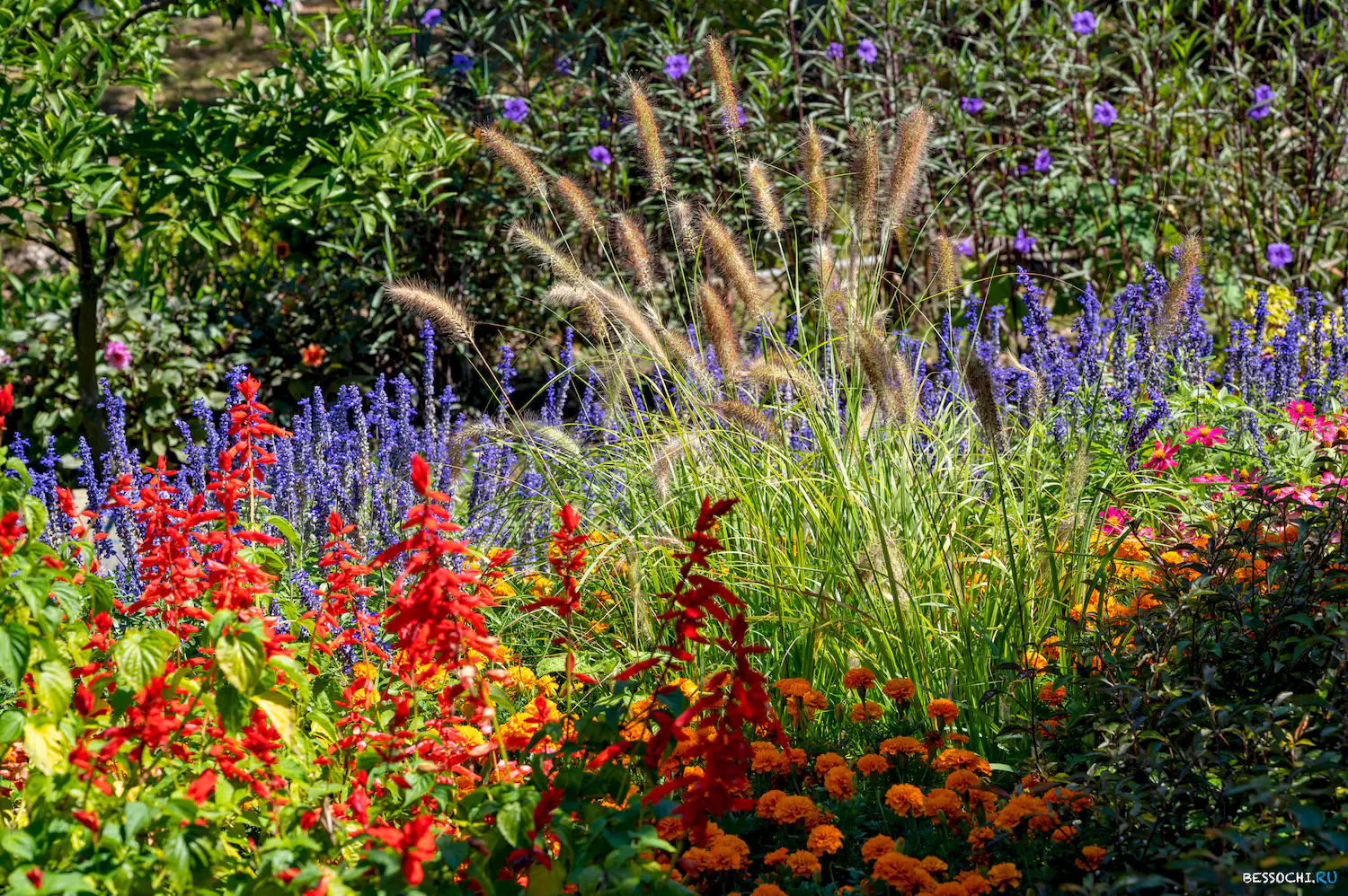 Дерево дружбы