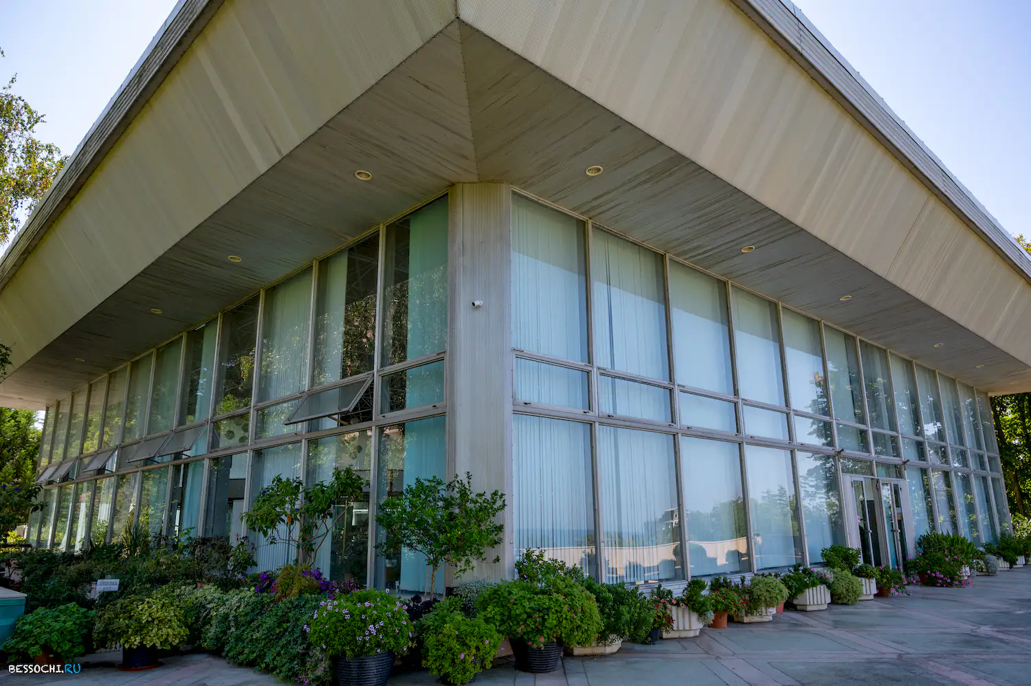 Дерево дружбы