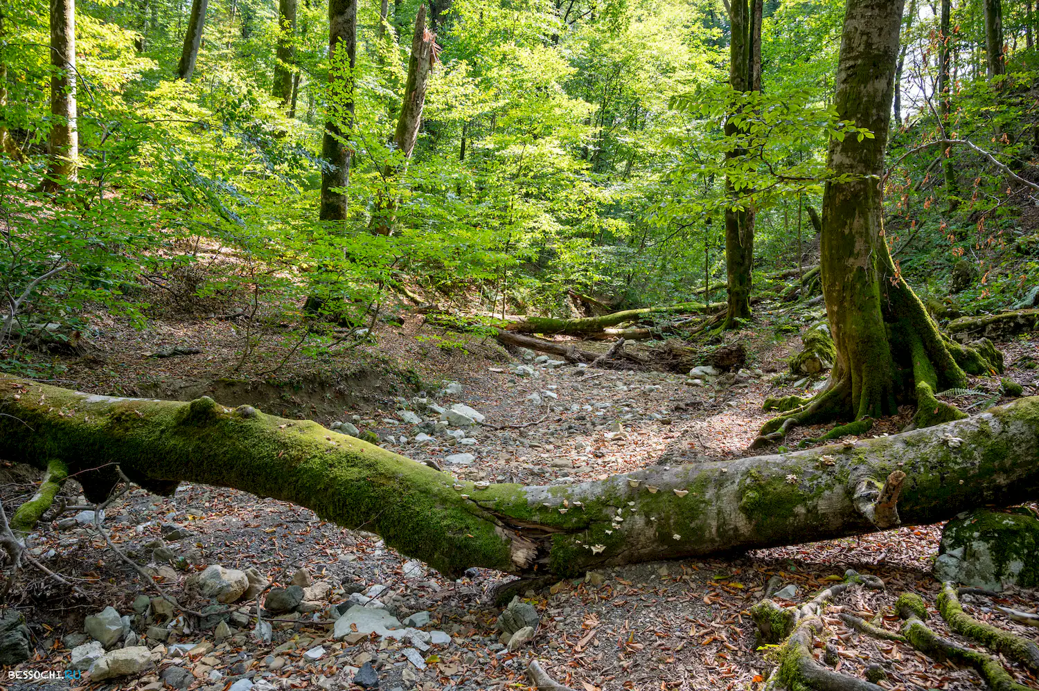 Воронцовские пещеры