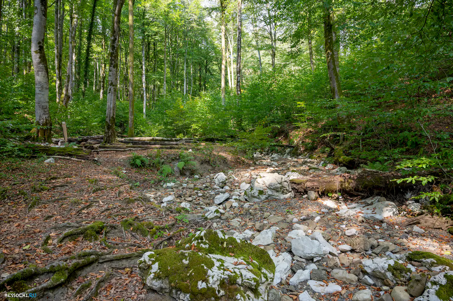 Воронцовские пещеры
