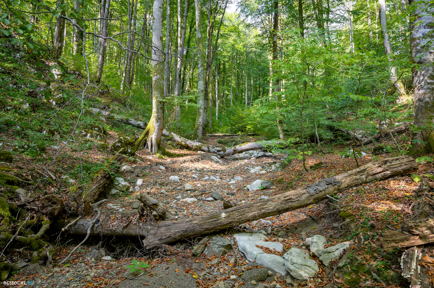 Воронцовские пещеры