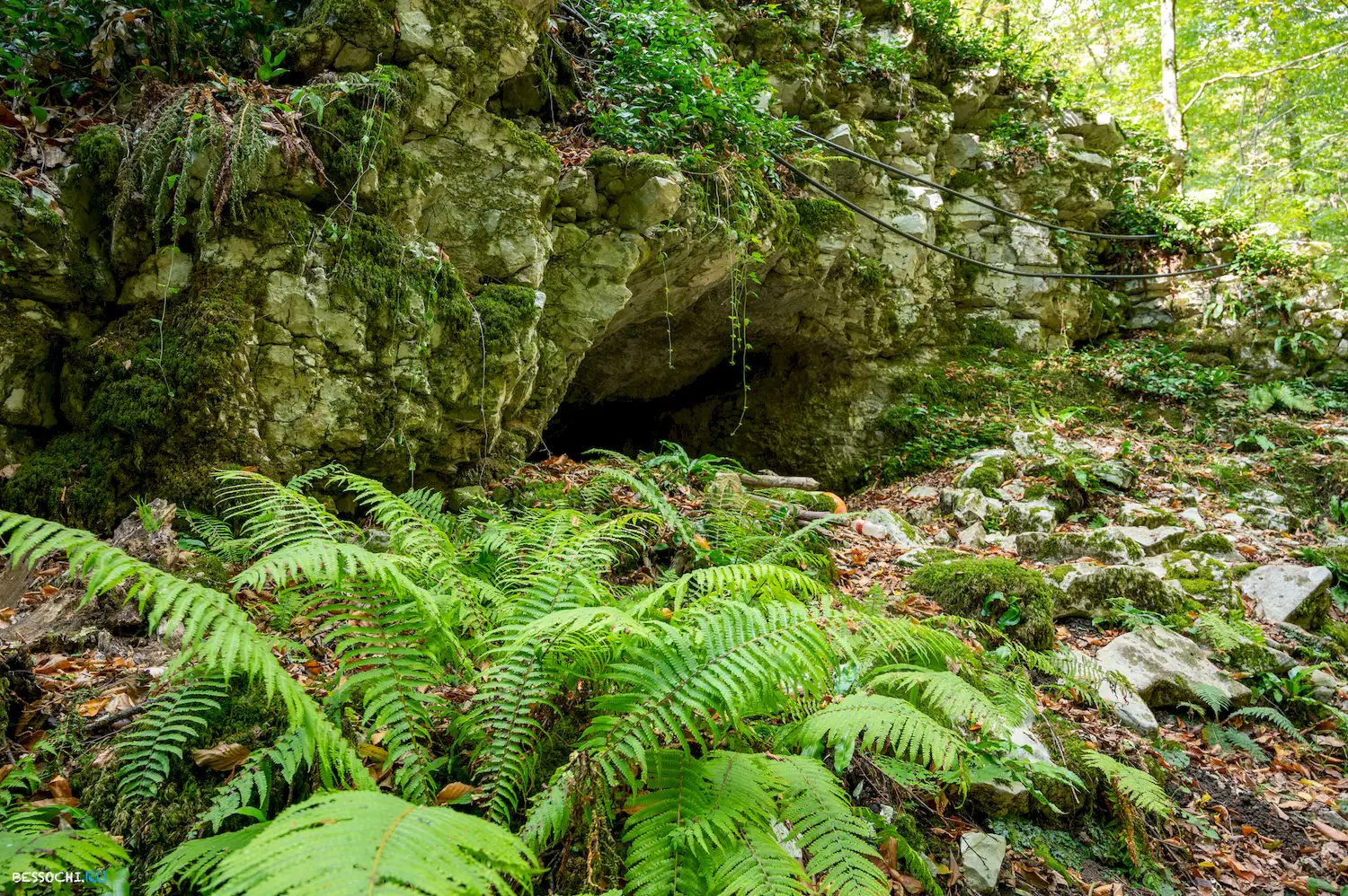 пещера Лабиринтовая