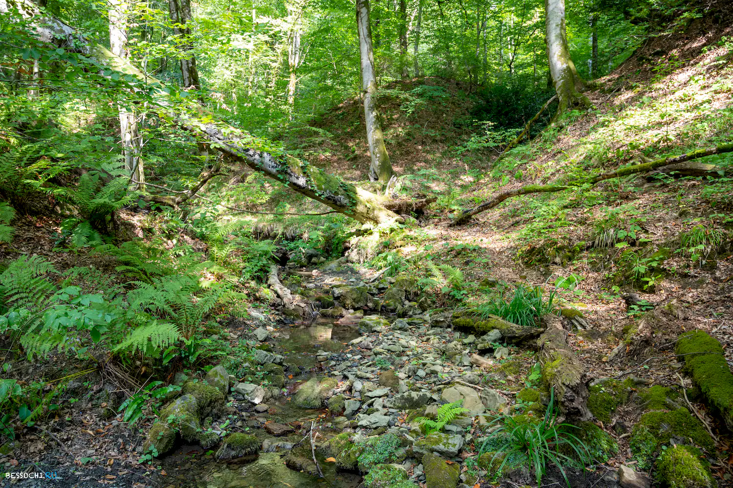 пещера Лабиринтовая