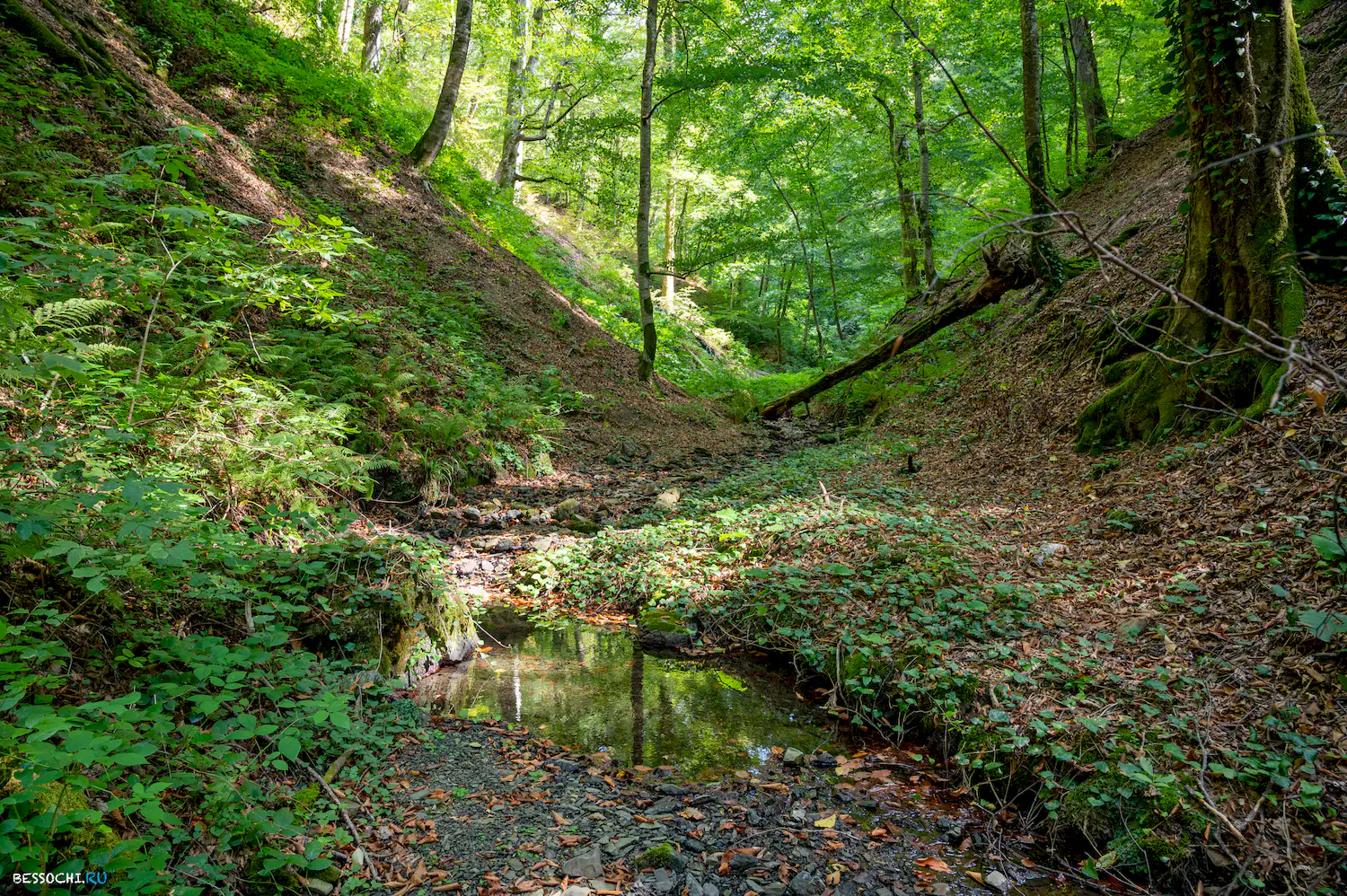 река Кудепста