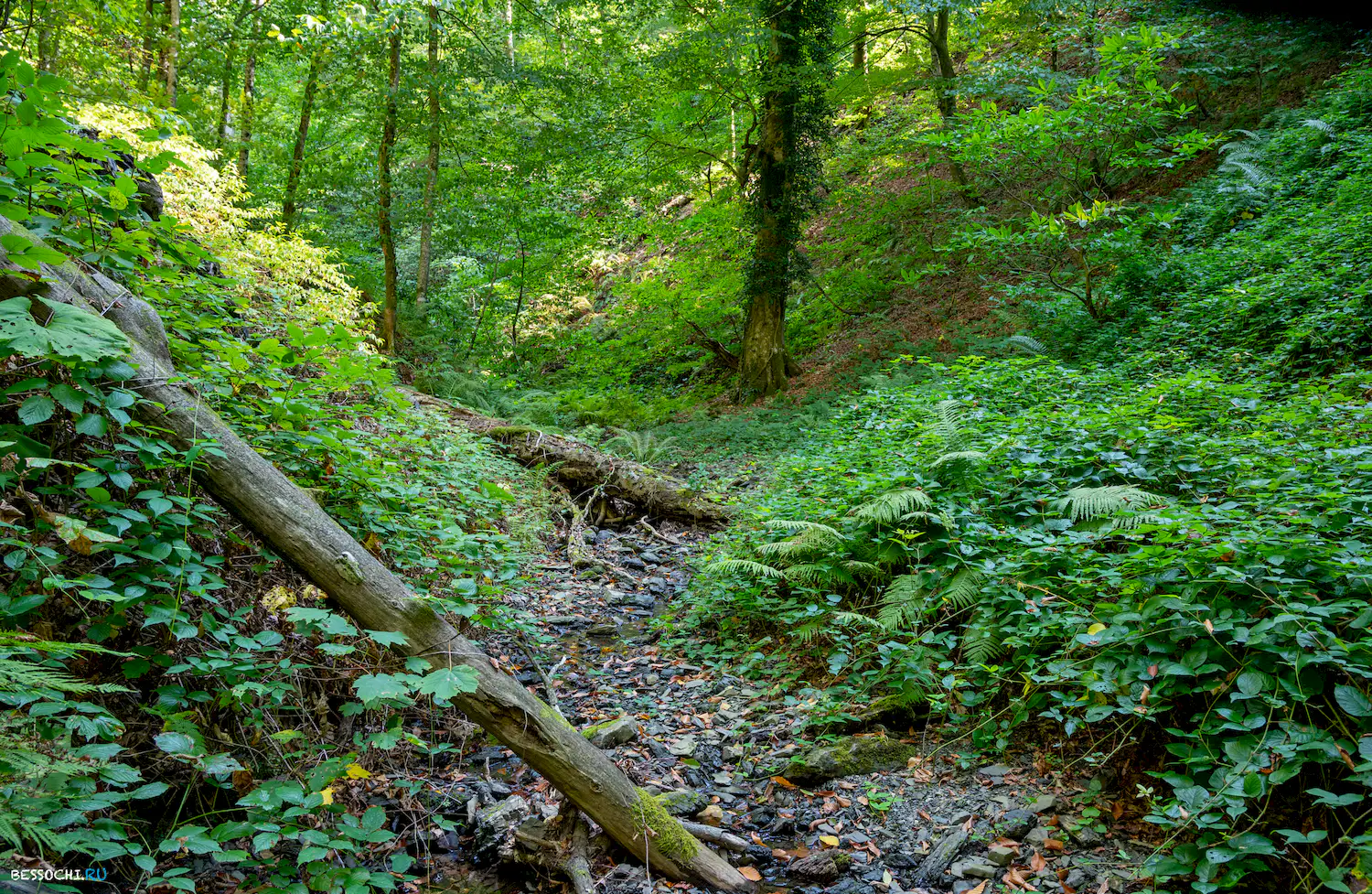 река Кудепста