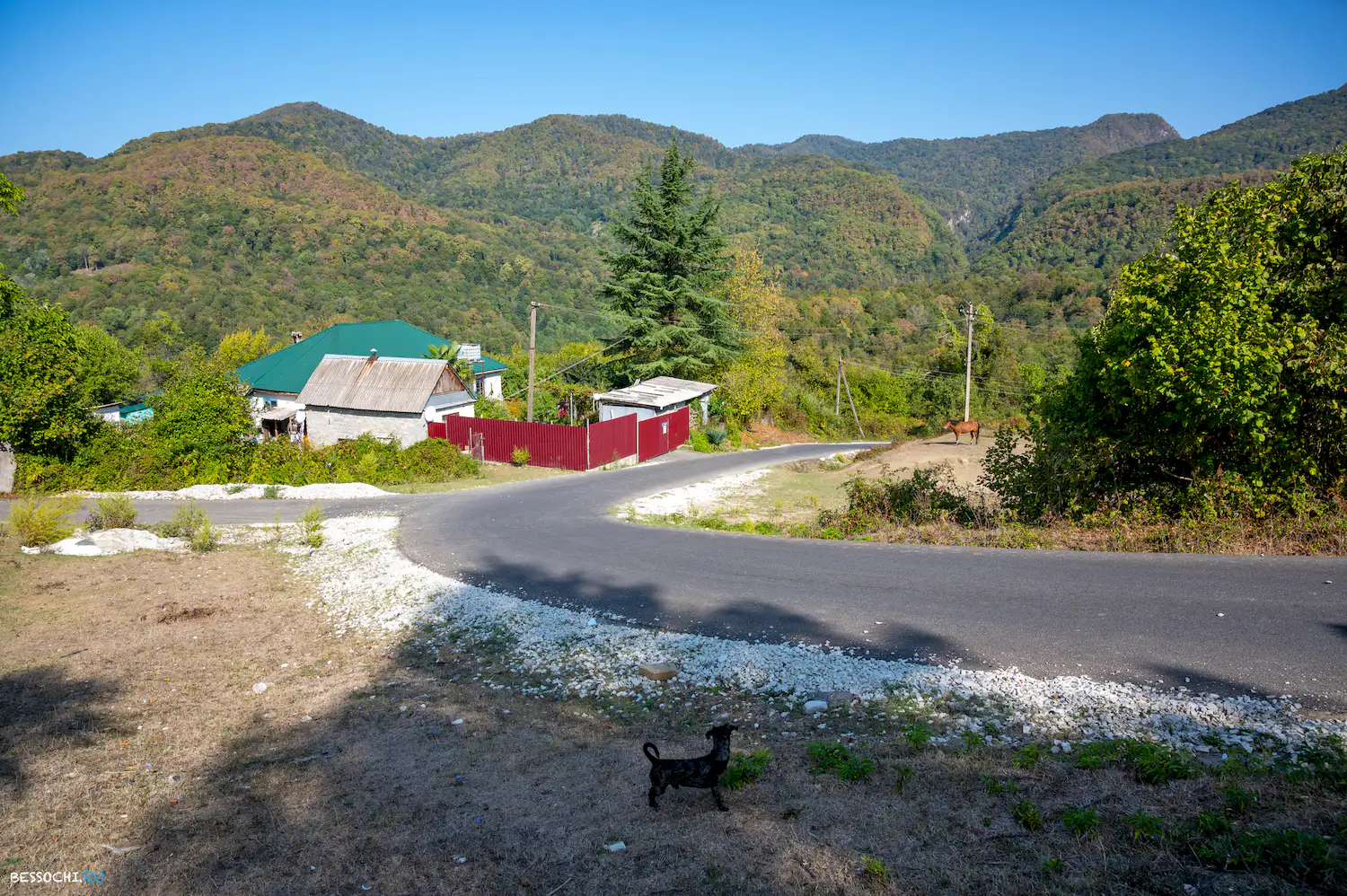 Воронцовка