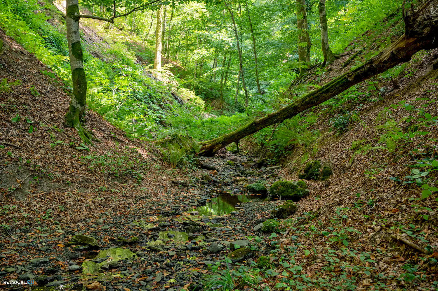 река Кудепста