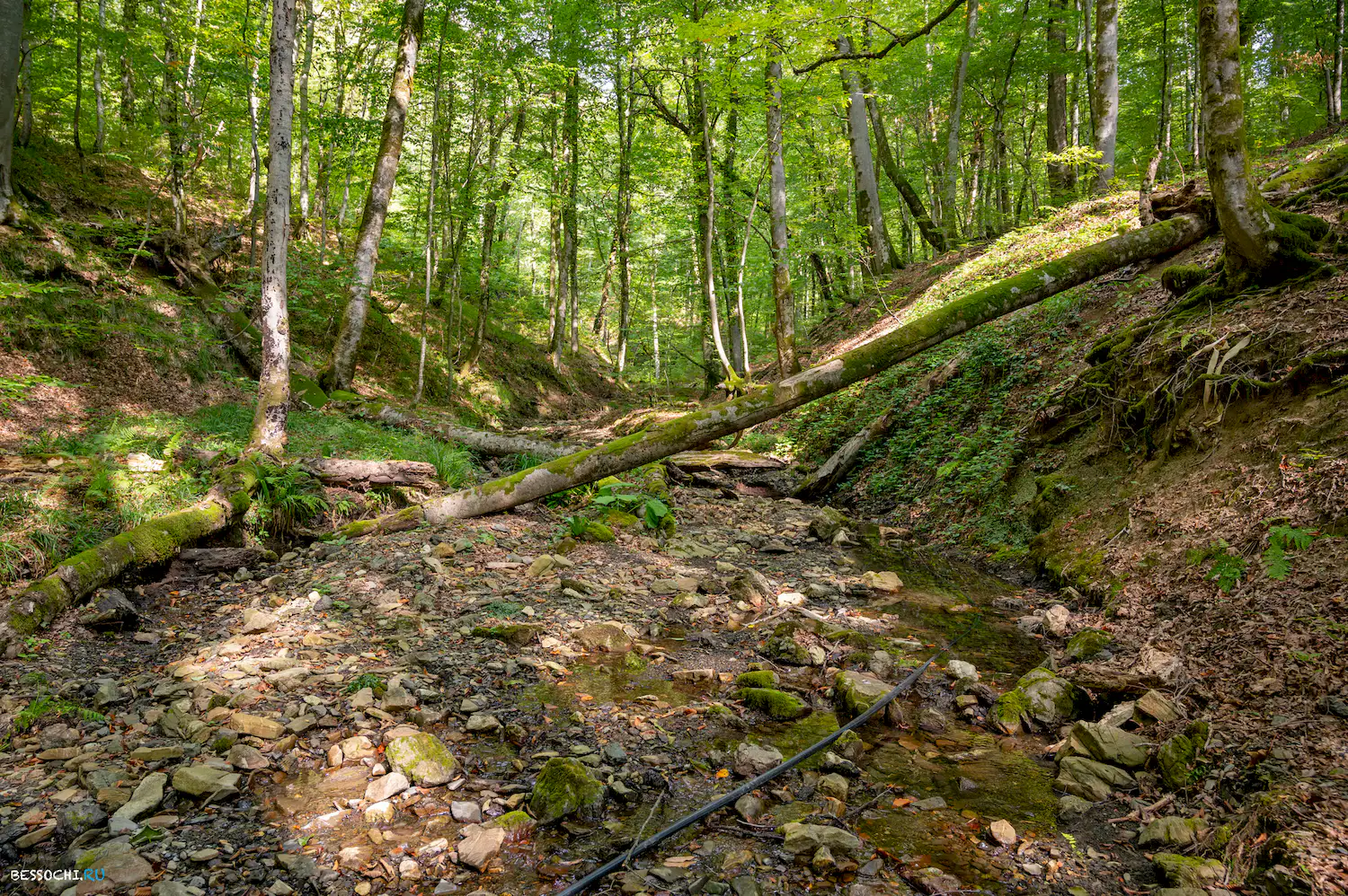 река Кудепста